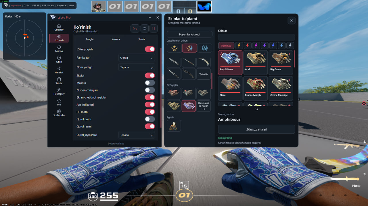 Haqiqiy cspro ilovasi: ko‘rish sozlamalari, radar va skin katalogi